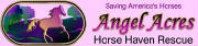 angelacres5.jpg